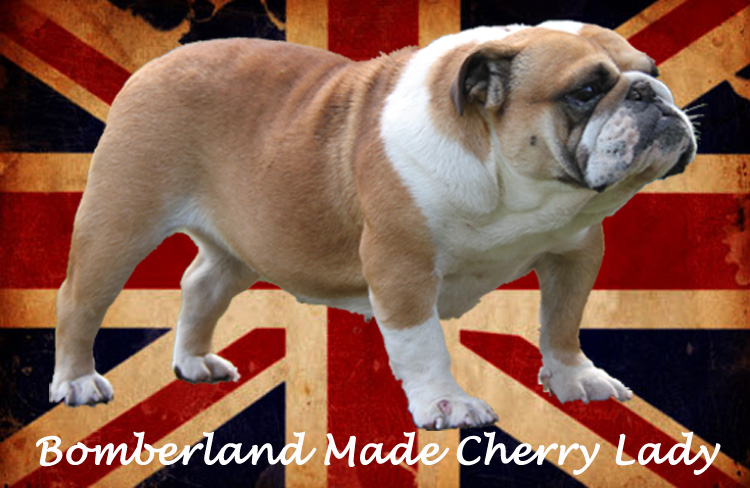 bomberland Made cherry lady